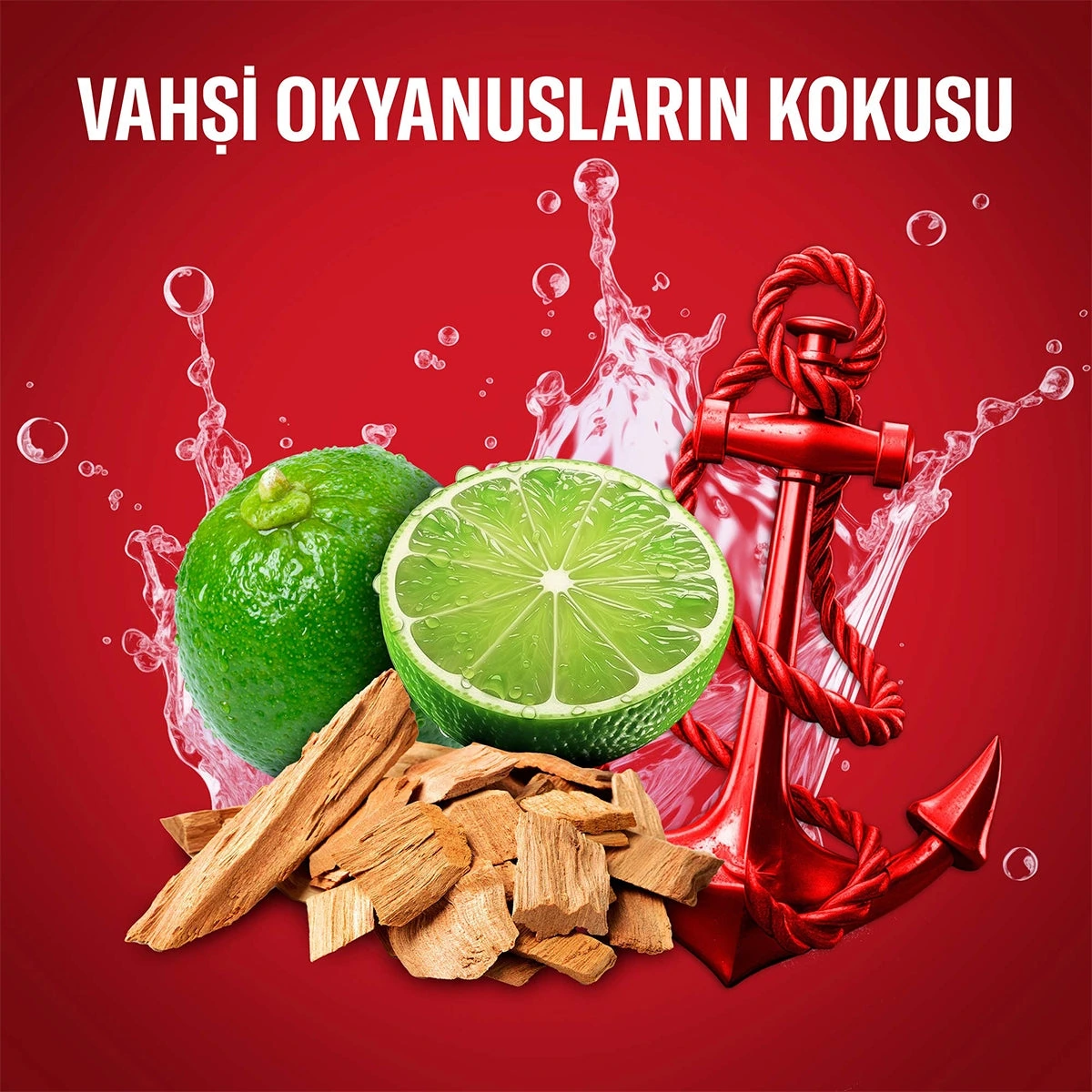 OLD SPICE Erkek Stick Captain 70 ml — Fotoğraf 6